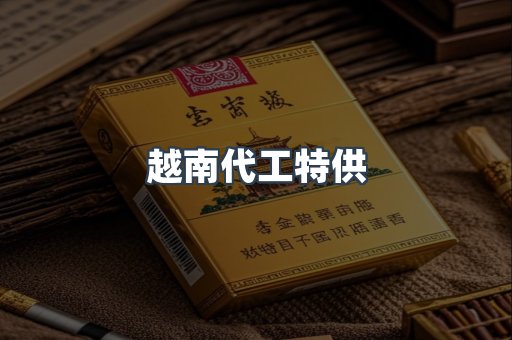 越南代工特供